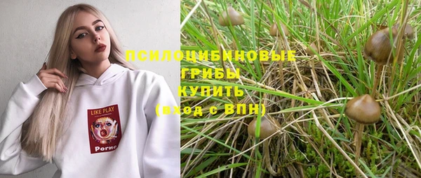 мдма Няндома