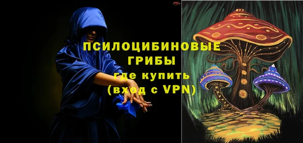 мдма Няндома