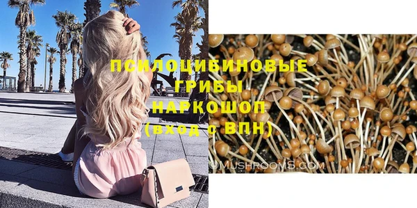 мдма Няндома