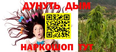 ALPHA PVP Гатчина