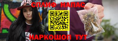 ALPHA PVP Гатчина