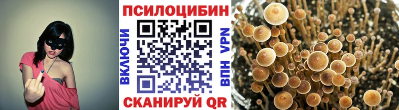 цена   кракен ССЫЛКА  Псилоцибиновые грибы прущие грибы  Электросталь 