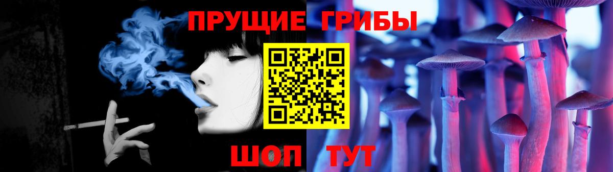 Электросталь  Галлюциногенные грибы Psilocybine cubensis  Вход с VPN 